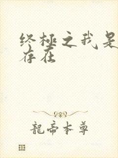 终极之我是神的存在