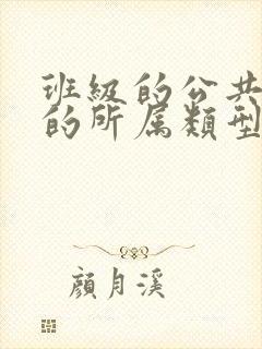 班级的公共小0的所属类型