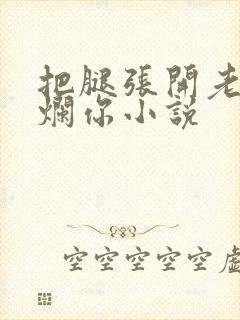 把腿张开老子臊烂你小说