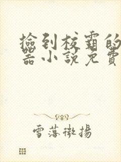 捡到校霸的遥控器小说免费阅读