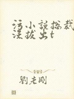 污小说总裁整夜没拔出t