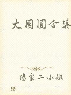 大团圆合集