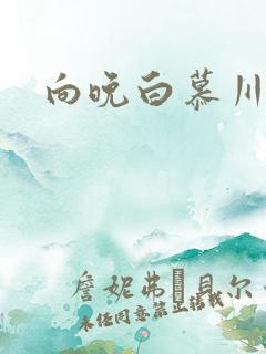 向晚白慕川