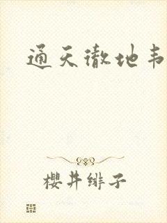 通天彻地韦小宝