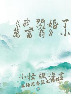 《我闪婚了个亿万富翁》小说