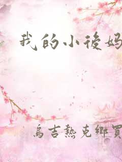 我的小后妈小说