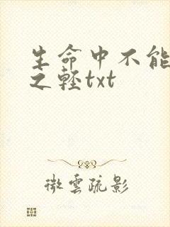 生命中不能承受之轻txt