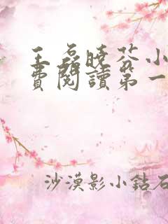 王磊晓芬小说免费阅读第一章