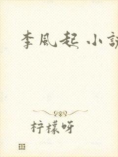 李风起 小说
