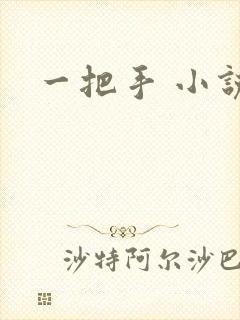 一把手 小说