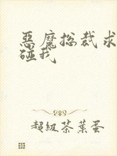 恶魔总裁求你别碰我