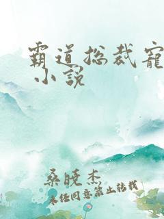 霸道总裁宠上天 小说