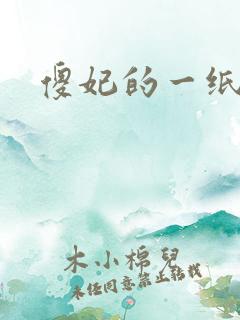 傻妃的一纸休书