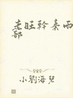 老旺干秦雨第二部