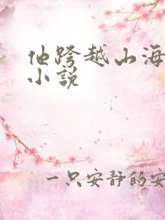 他跨越山海而来小说