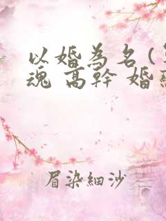 以婚为名 (军魂 高干 婚恋)