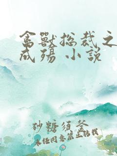 禽兽总裁之虐爱成殇 小说