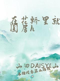 在花轿里就开始圆房h