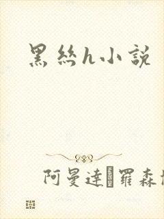 黑丝h小说