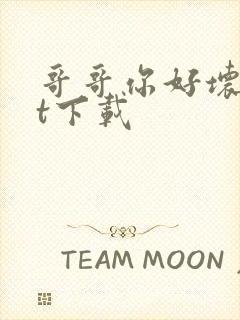 哥哥你好坏txt下载