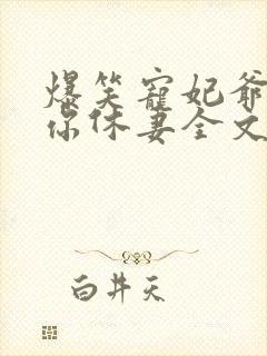 爆笑宠妃爷我等你休妻全文免费阅读