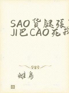 SAO货腿张开JI巴CAO死我