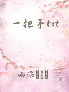 一把手txt