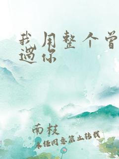 我用整个曾经爱过你