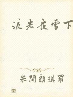 流光夜雪下载
