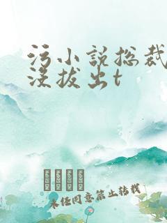 污小说总裁整夜没拔出t