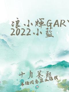 浪小辉GARY2022小蓝