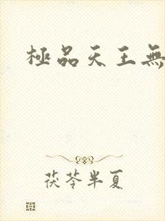 极品天王无弹窗