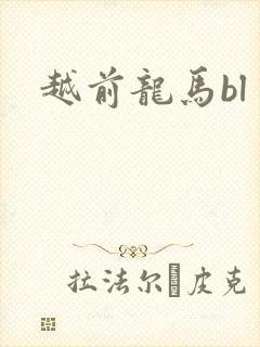 越前龙马bl