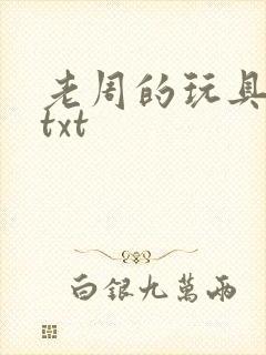 老周的玩具日记txt