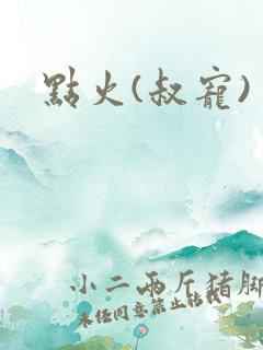 点火(叔宠)