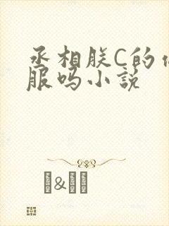 丞相朕C的你舒服吗小说