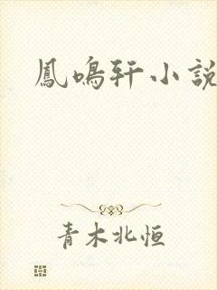 凤鸣轩小说