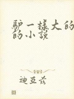 驴一样大的凶器的小说