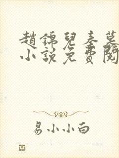 赵锦儿秦慕修的小说免费阅读全文