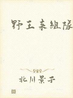 野王来组队小说