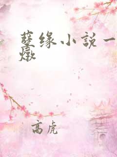 孽缘小说一家乱炖