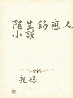 陌生的恋人原著小说