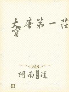 大唐第一庄无弹窗