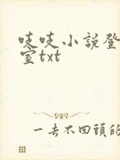吱吱小说登堂入室txt