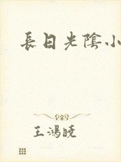 长日光阴小说