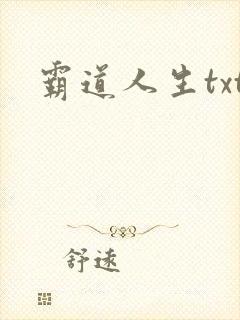 霸道人生txt