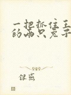 一把抓住王昭君的两只兔子