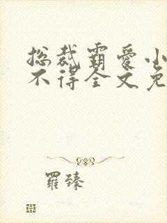 总裁霸爱小妻惹不得全文免费阅读笔趣阁