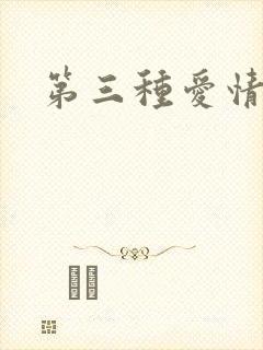 第三种爱情续集