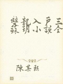 双龙入户三人行苏玥小说全文阅读